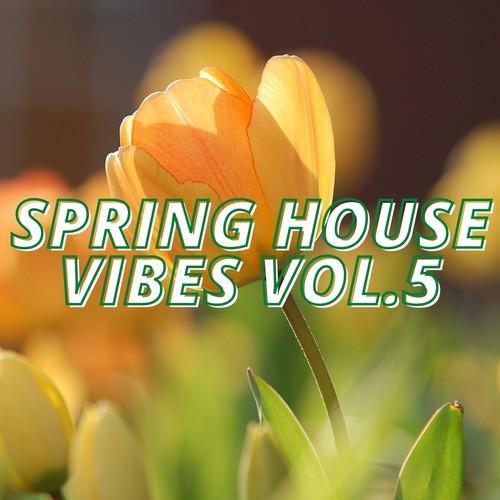 Spring House Vibes Vol.5