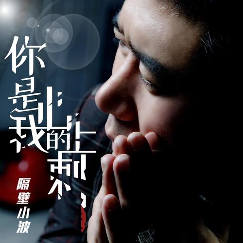 你是我心上的刺