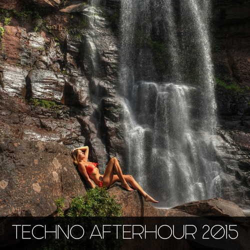 Techno Afterhour 2015