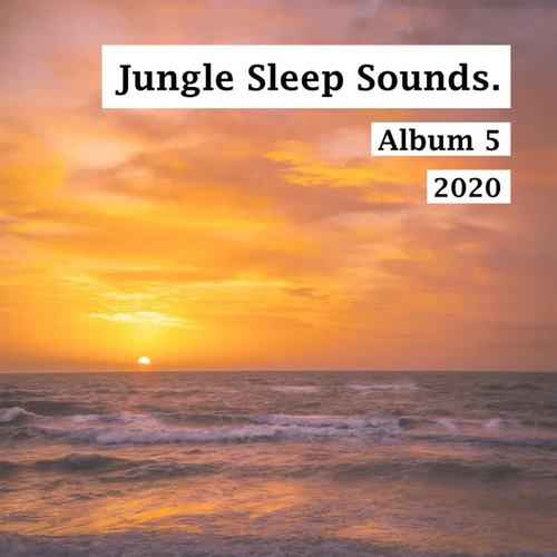 Peaceful Forest and Nature Sounds For Relax
