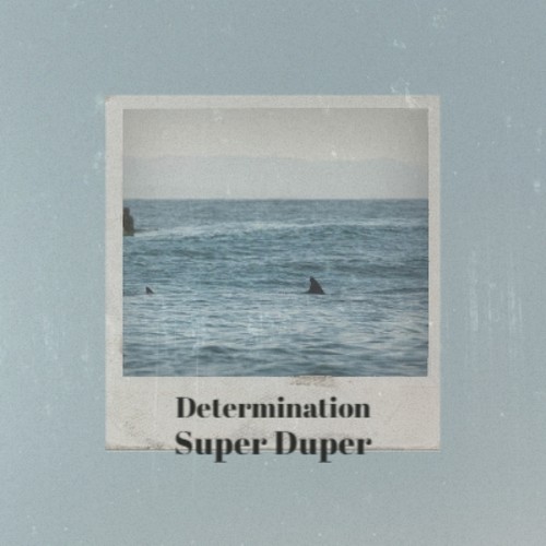 Determination Super Duper