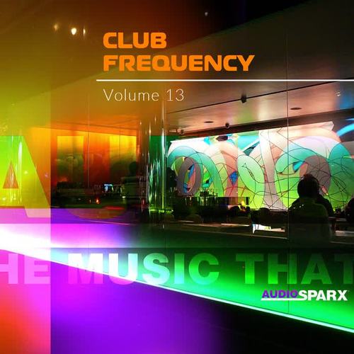 Club Frequency Volume 13