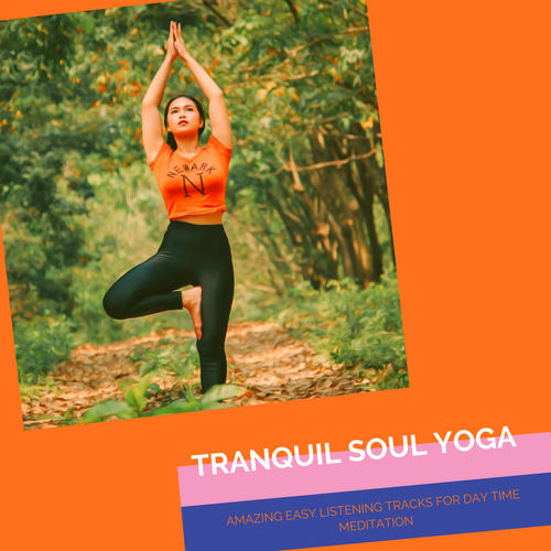 Tranquil Soul Yoga - Amazing Easy Listening Tracks For Day Time Meditation