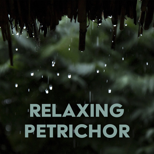 Relaxing Petrichor (Delicate Pure Nature Sounds)