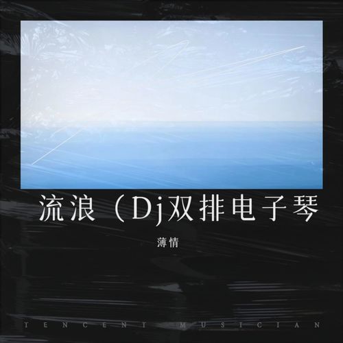 流浪（Dj双排电子琴）