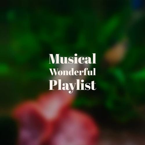 Musical Wonderful Playlist