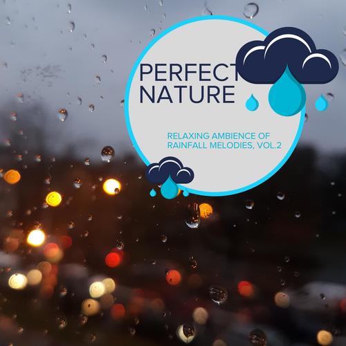 Perfect Nature - Relaxing Ambience of Rainfall Melodies, Vol.2