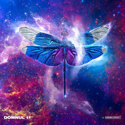 Domnul 11 (Explicit)