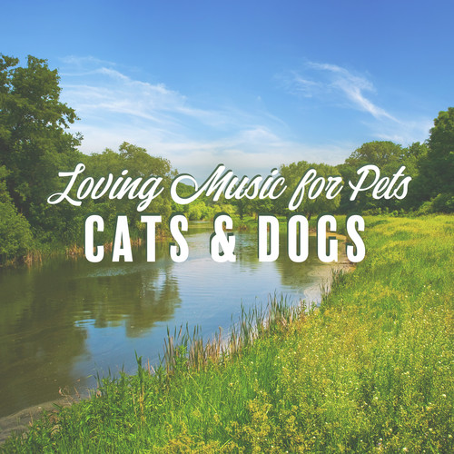 Loving Music for Pets: Cats & Dogs (Calming Down, Relaxation Songs, Rest, Relief in Anxiety, Soothing Melodies with Nature, River, Water Sounds)