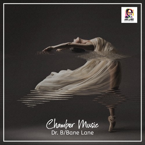 Chamber Music (feat. Bane Lane)