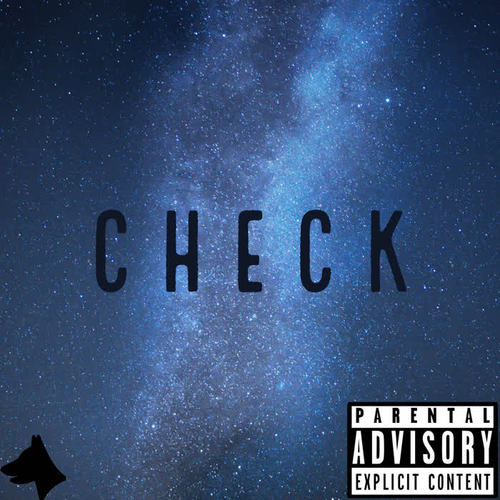 Check (Explicit)