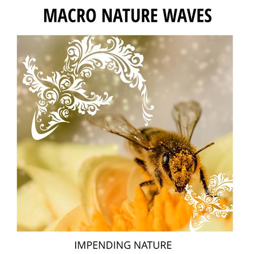 Macro Nature Waves - Impending Nature