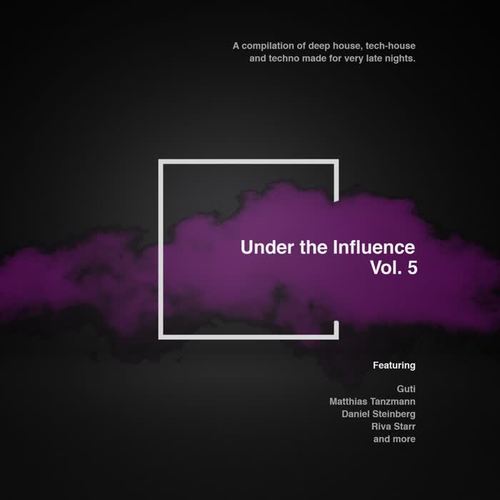 Under The Influence, Vol. 5