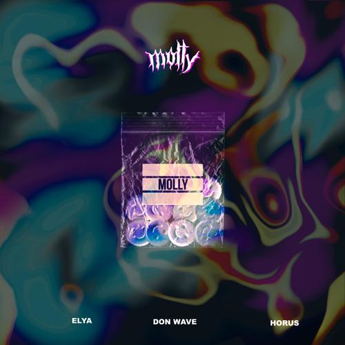 MOLLY (feat. Don Wave, Elya Hu & Horus) [Explicit]