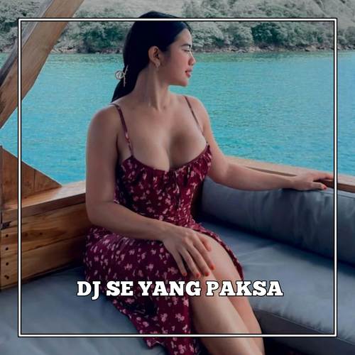 DJ VIRAL SE YANG PAKSA