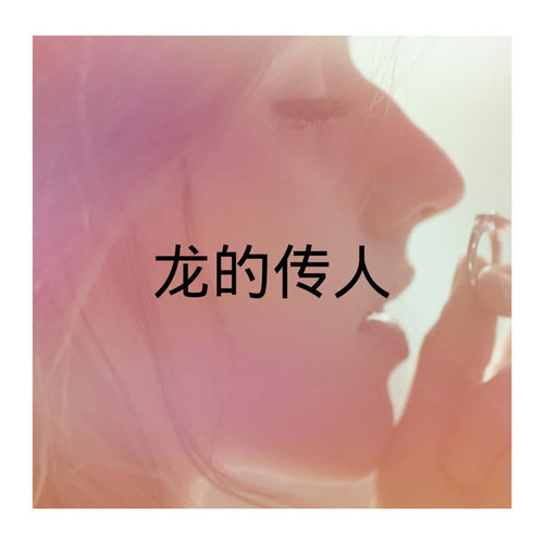 龙的传人