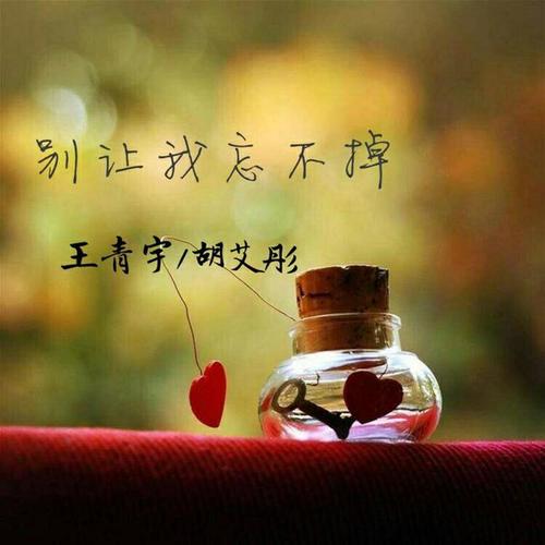 别让我忘不掉