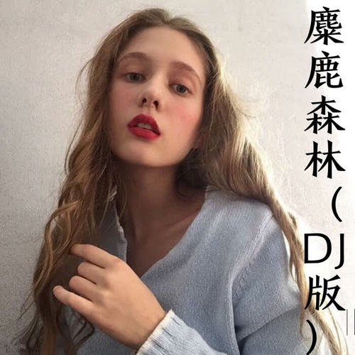 麋鹿森林（DJ版）