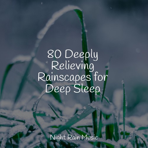 80 Deeply Relieving Rainscapes for Deep Sleep