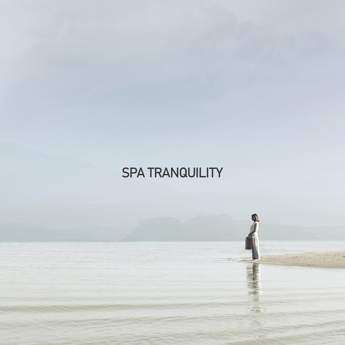 Spa Tranquility - Relaxing Instrumental Songs, Background Music for Resort & Spa, Wellness, Well Being, Yoga Meditation