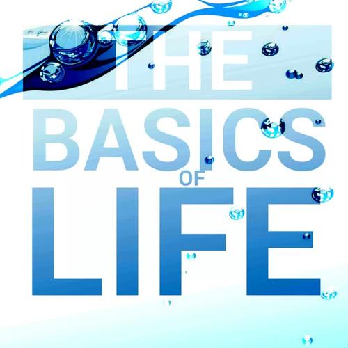 The Basics Of Life (Main Hype-Tribe Mix)