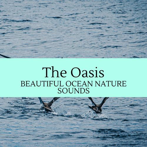 The Oasis - Beautiful Ocean Nature Sounds