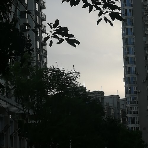 游走