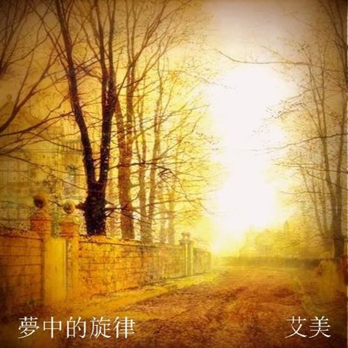 梦中的旋律