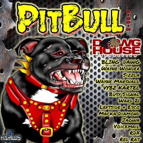 Pitbull Riddim