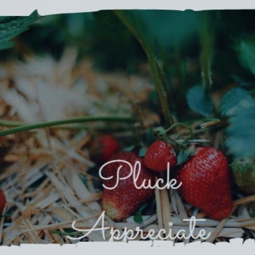 Pluck Appreciate
