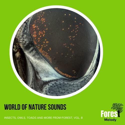 World of Nature Sounds - Insects, Owls, Toads and More from Forest, Vol. 8