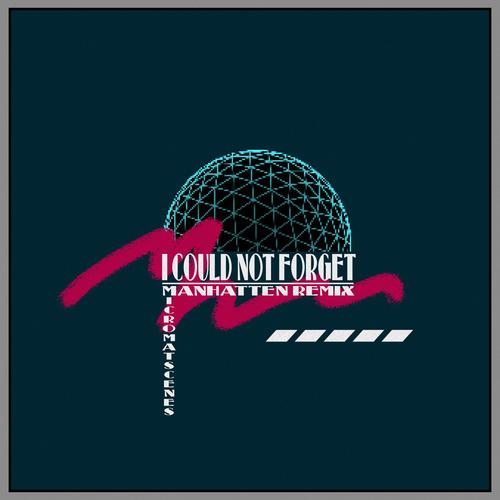 I Could Not Forget (Manhatten Remix)