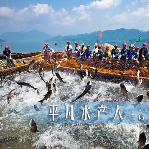 平凡水产人