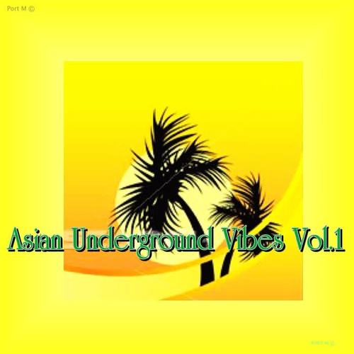 Asian Underground Vibes, Vol. 1