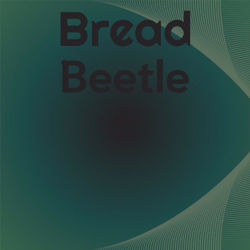 Bread Beetle