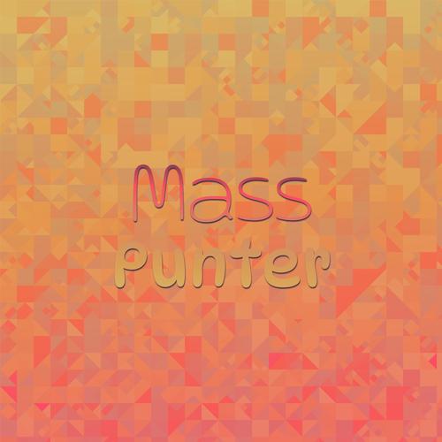 Mass Punter