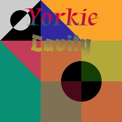 Yorkie Cavity