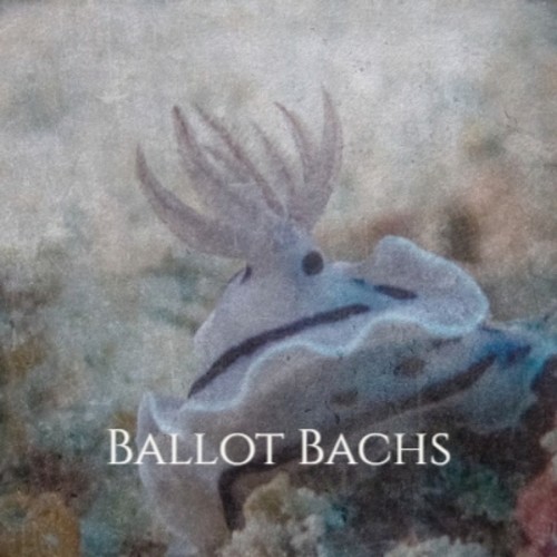 Ballot Bachs