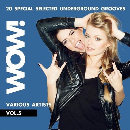 WOW! (20 Special Selected Underground Grooves) , Vol. 5