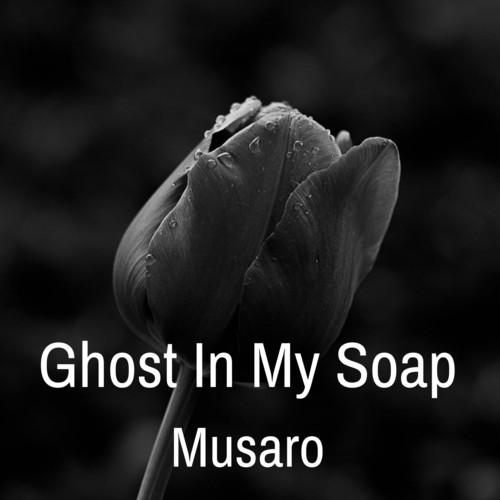 Ghost in My Soap