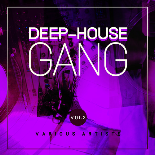 Deep-House Gang, Vol. 3