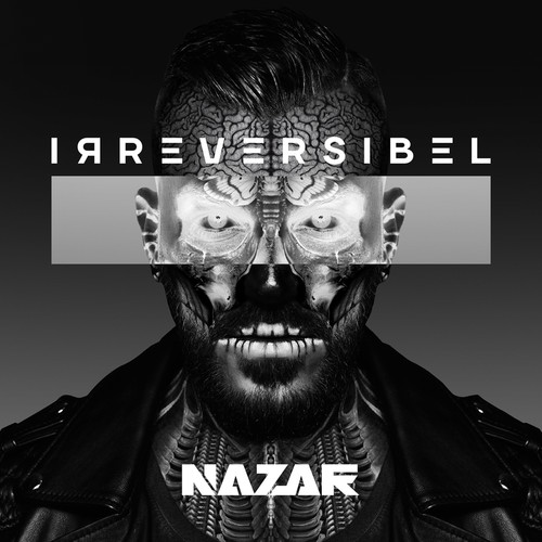 Irreversibel (Explicit)