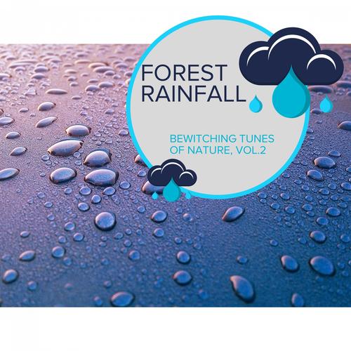 Forest Rainfall - Bewitching Tunes of Nature, Vol.2