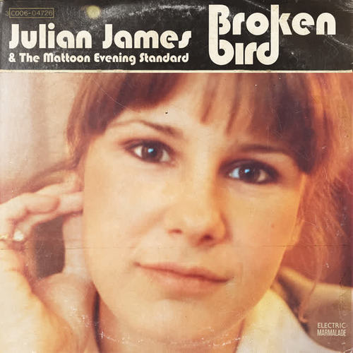 Broken Bird