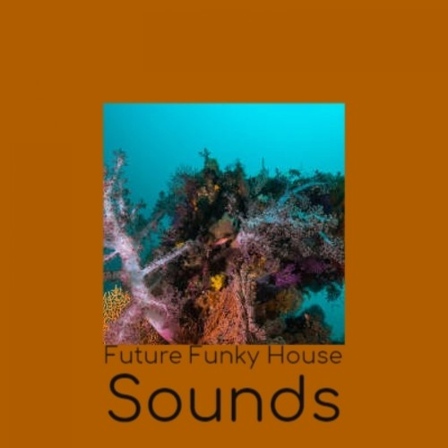 Future Funky House Sounds