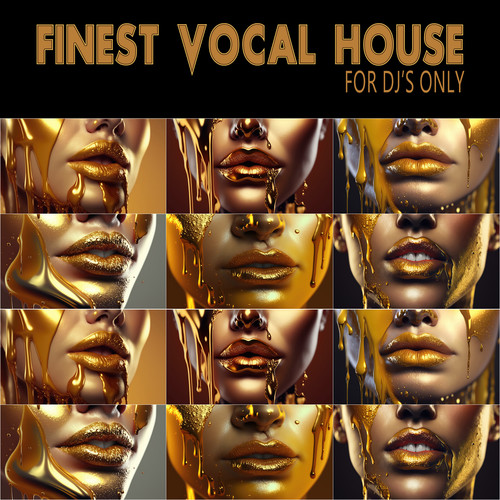 Finest Vocal House - for DJ's Only (Explicit)