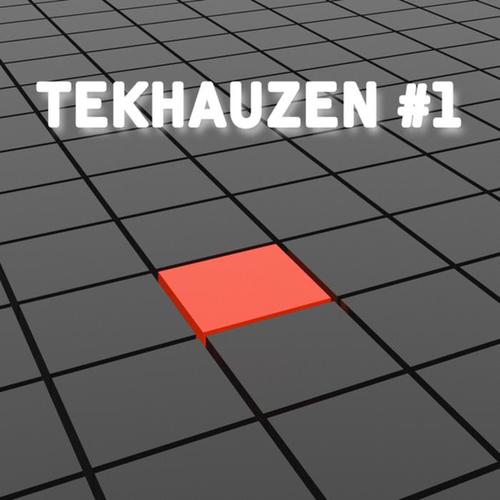 TekHauzen #1