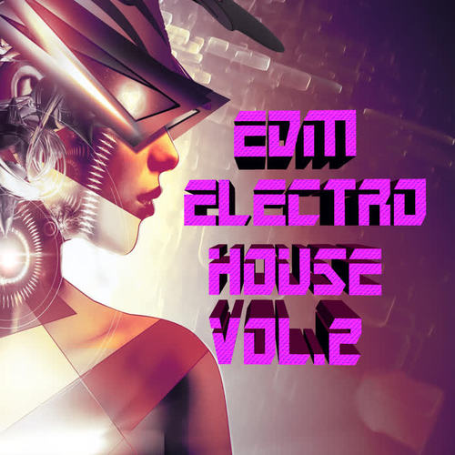 EDM Electro House, Vol. 2