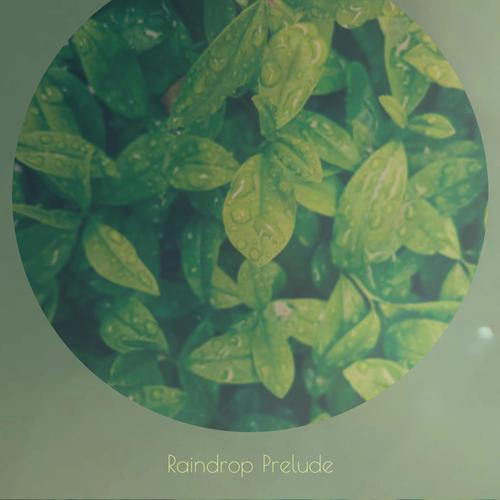 Raindrop Prelude