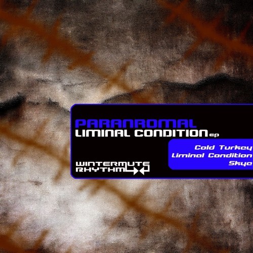 Liminal Condition EP